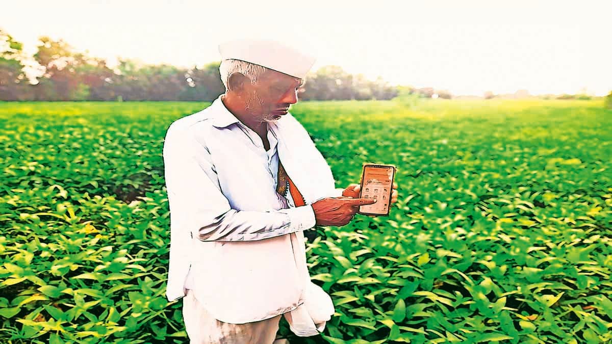 Farmer efe1.jpg