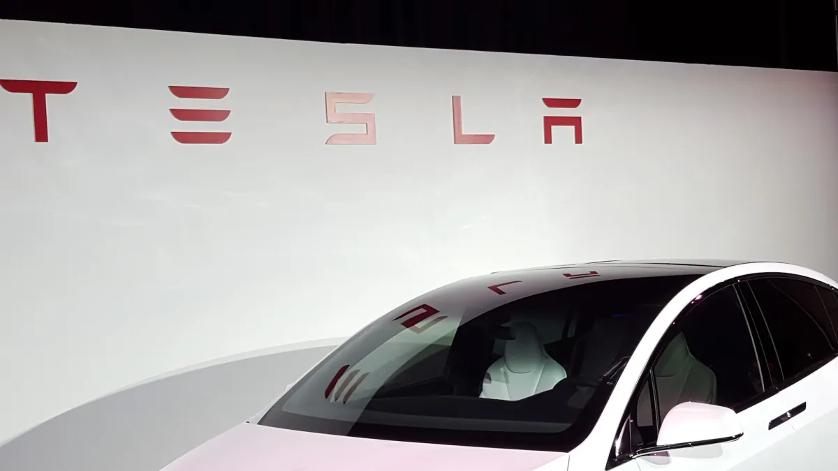 Tesla model x kirsten.jpg