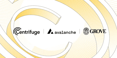 Grove Centrifuge stake formalising a dependency between an onchain credit protocol and its tokenization platform