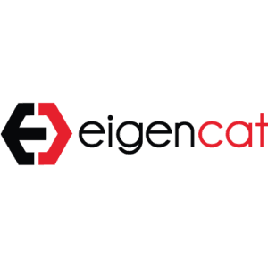 Eigencat.png