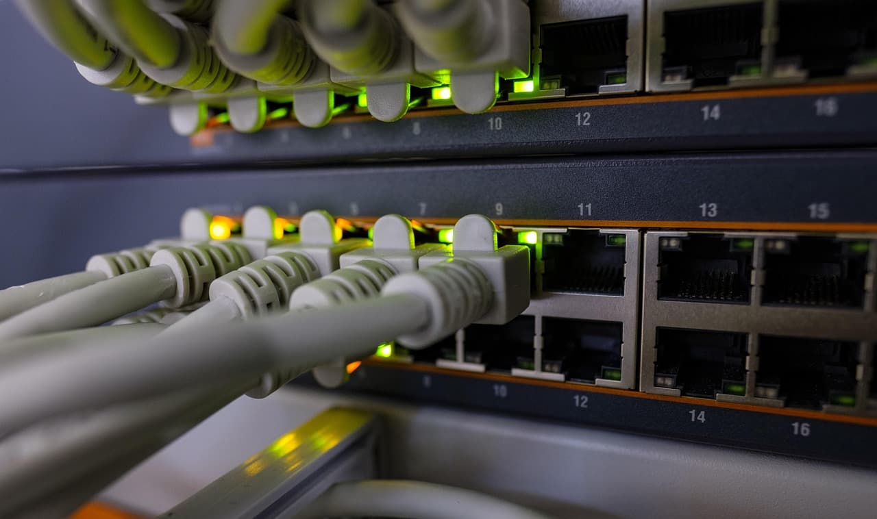 Network cables plugged into a row of ports